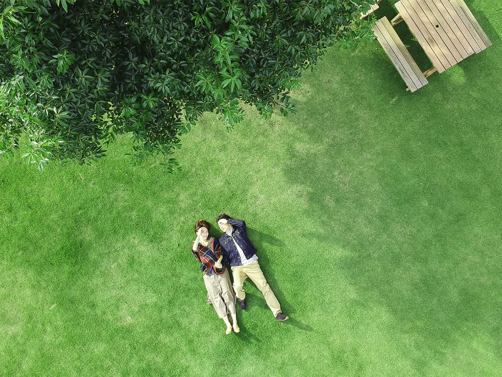 and Best Condition Days