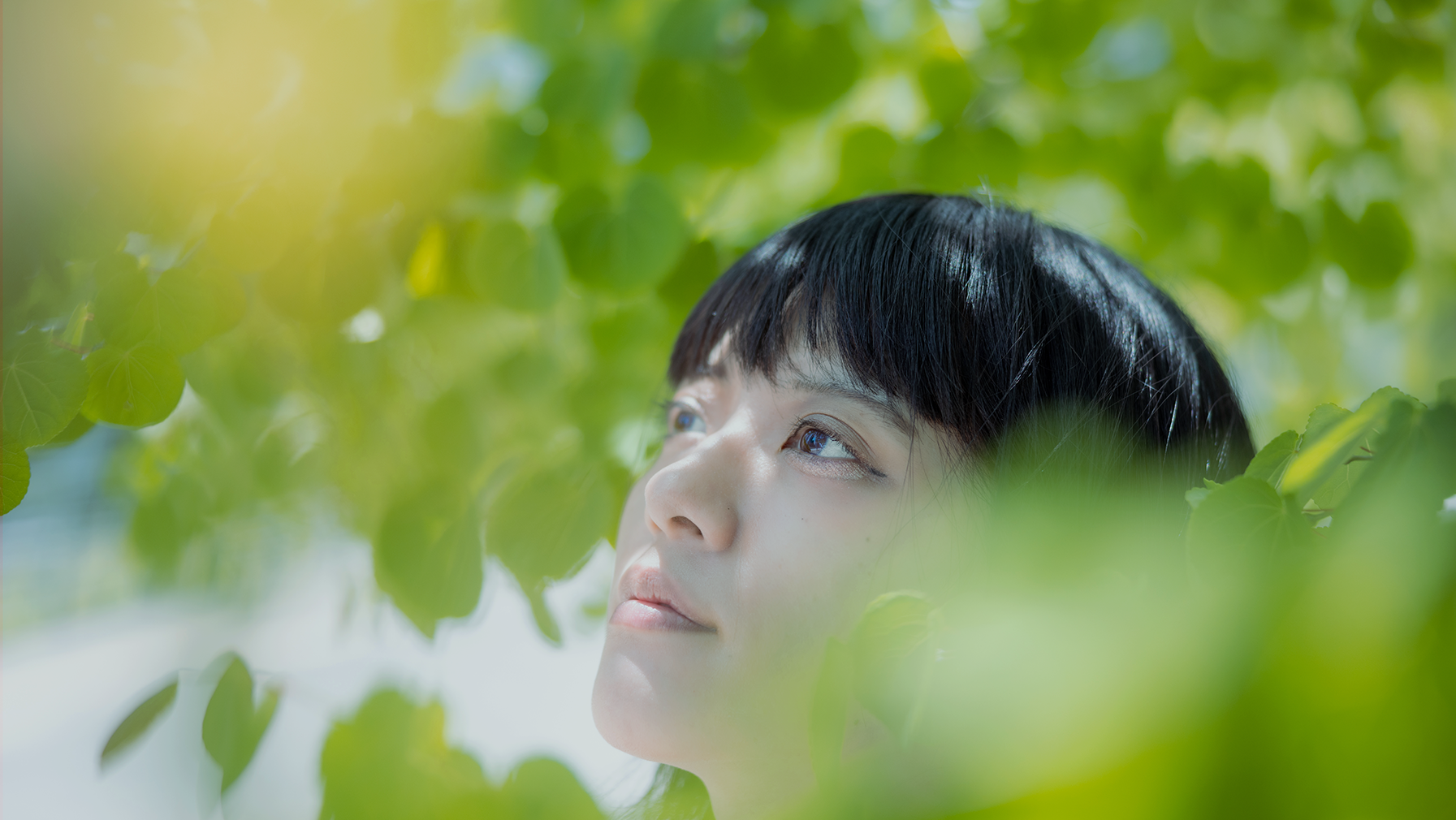 and Best Condition Days