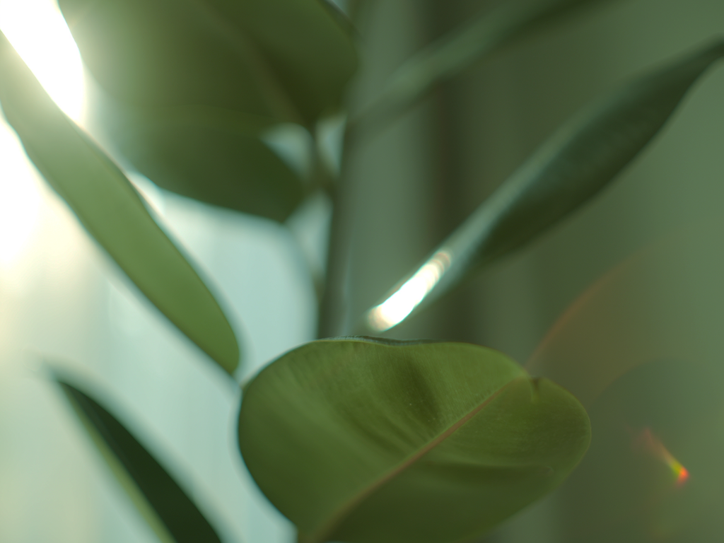 and Best Condition Days