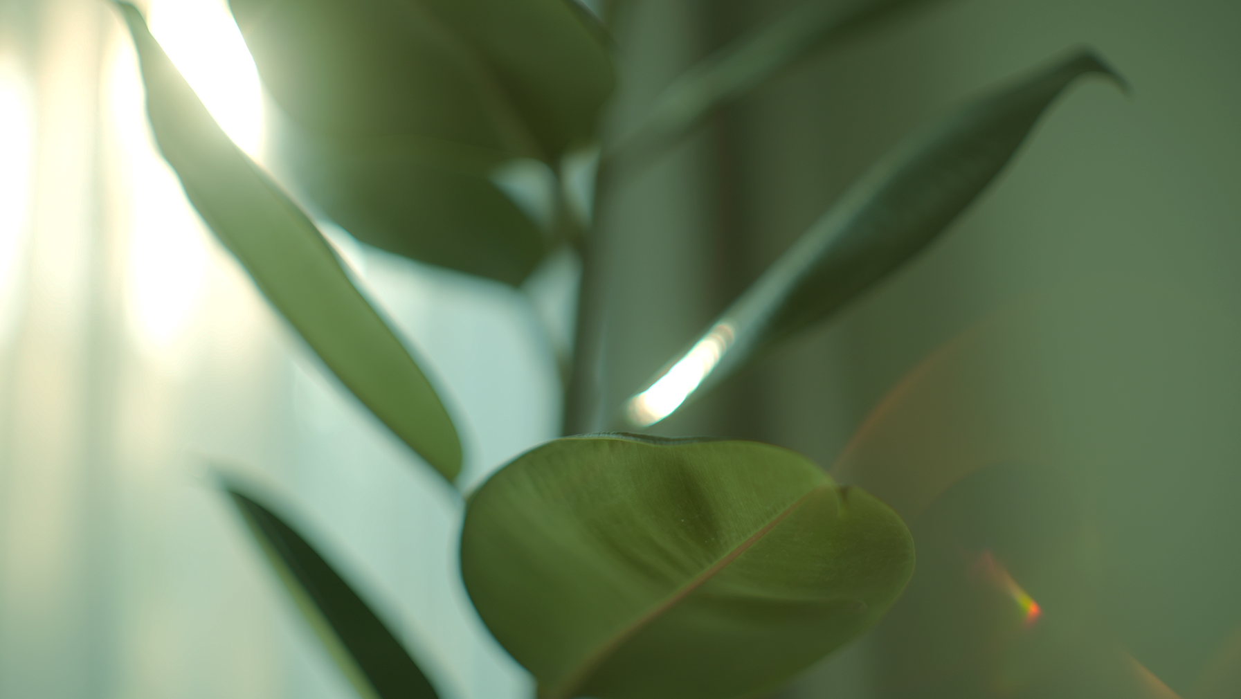 and Best Condition Days